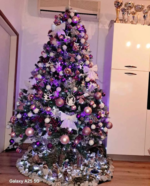 Provjerite tko su pobjednici izbora za naj jelku!