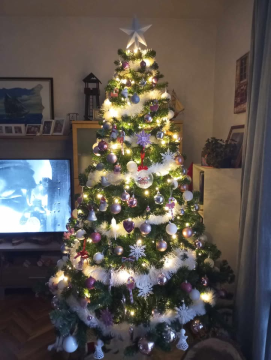 Provjerite tko su pobjednici izbora za naj jelku!