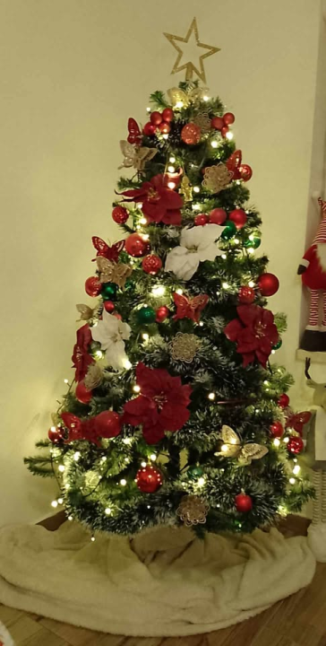 Provjerite tko su pobjednici izbora za naj jelku!