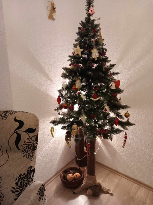 Provjerite tko su pobjednici izbora za naj jelku!