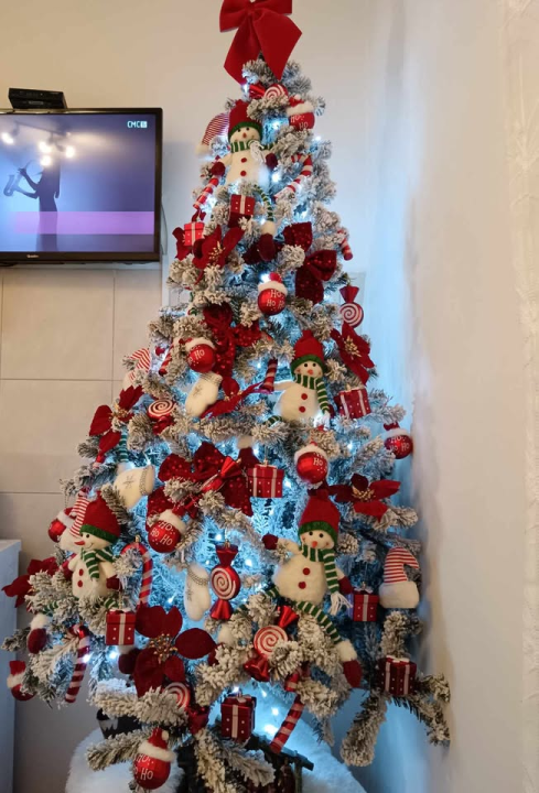 Provjerite tko su pobjednici izbora za naj jelku!