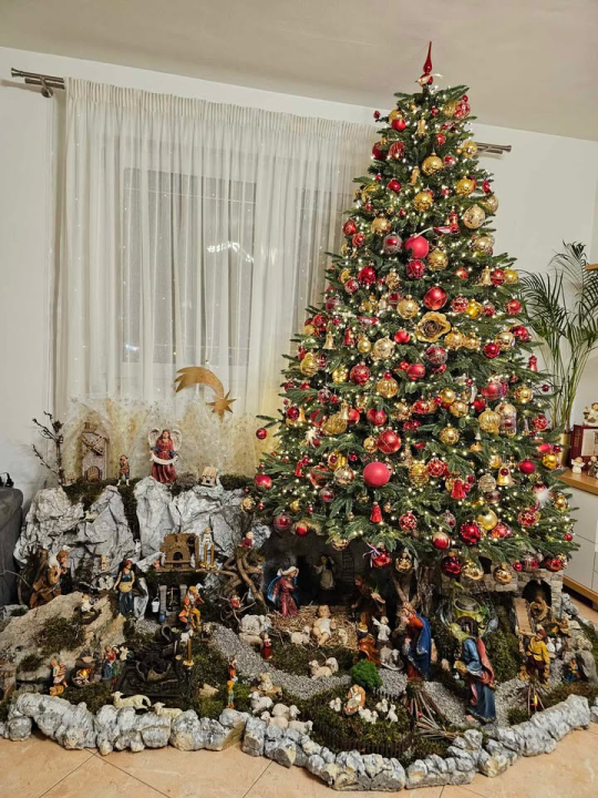 Provjerite tko su pobjednici izbora za naj jelku!