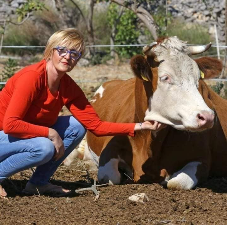 Ivana Šimac Mehić bila je 22 godine medicinska sestra, a sada je uspješna i sretna poduzetnica na svom OPG -u 