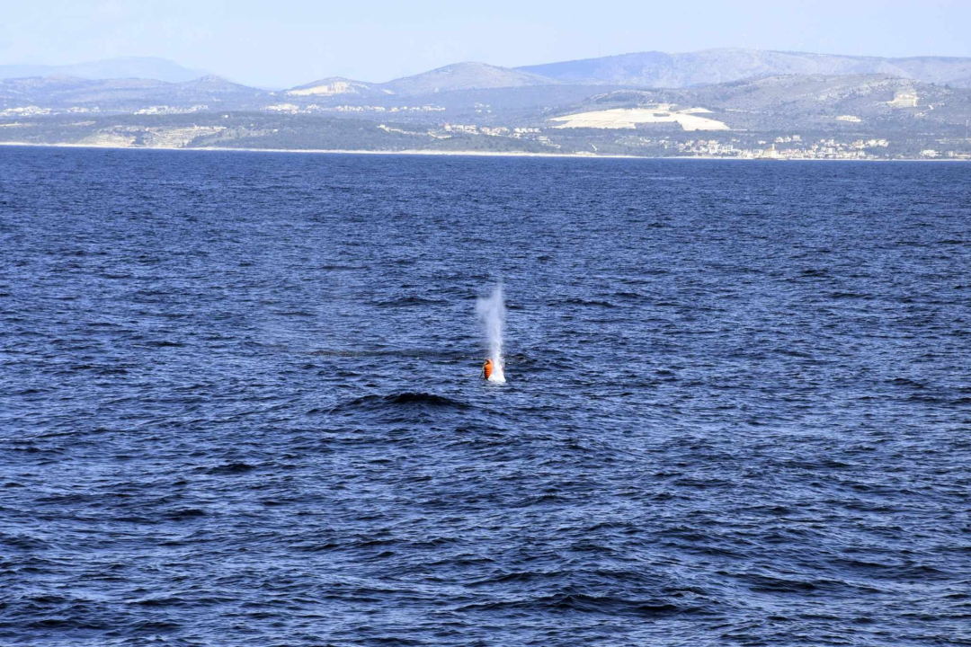 Vježbe na Žirju i Zečevu ojačale operativne sposobnosti Hrvatske ratne mornarice