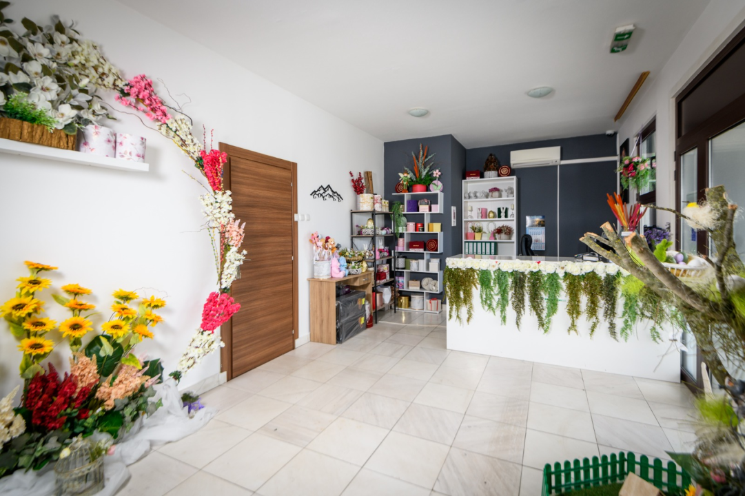 FOTO Safirni jubilej: Čempresi obilježavaju 65 godina postojanja