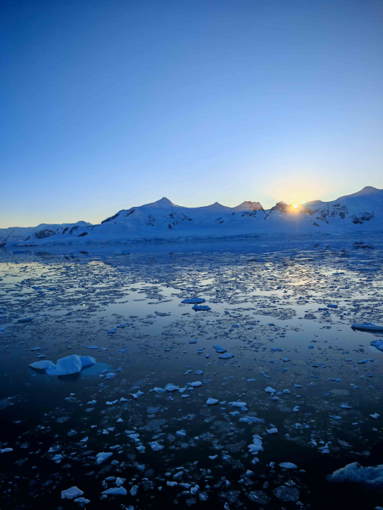 Veliki Gogo, prvi Šibenčanin na Antarktici: 'Skočio sam u more dva puta, a pingvini baš i ne mirišu najbolje'