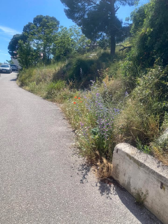 'Zeleni grad' u pogonu: Nakon Vidika, stižu pritužbe i na zapuštenost oko Baronea i Šubićevog šetališta