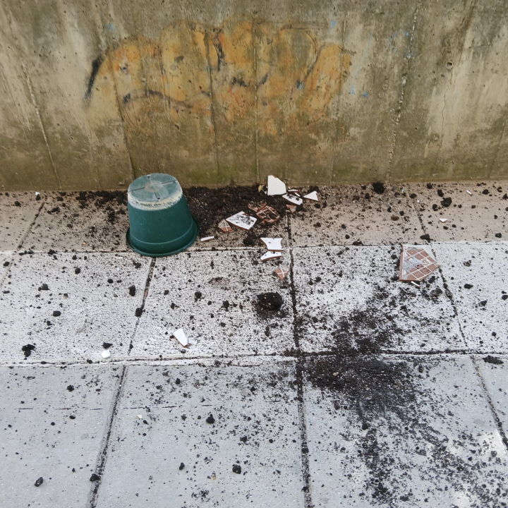 Pitari ugrozili prolaznike i djecu: Apel građana nakon potencijalno opasne situacije ispred vrtića