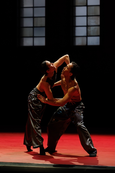 Suvremeni ples pod otvorenim nebom: Danas počinje Šibenik Dance Festival 