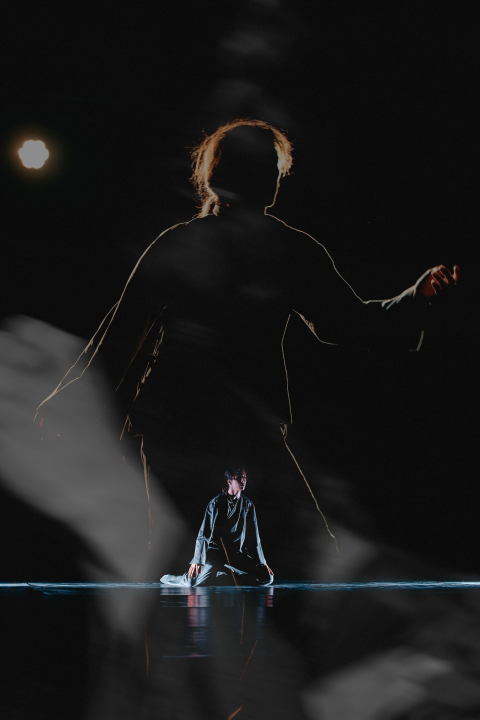 Šibenik Dance Festival