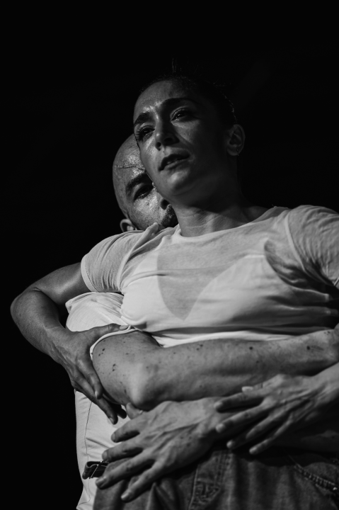 Šibenik Dance Festival