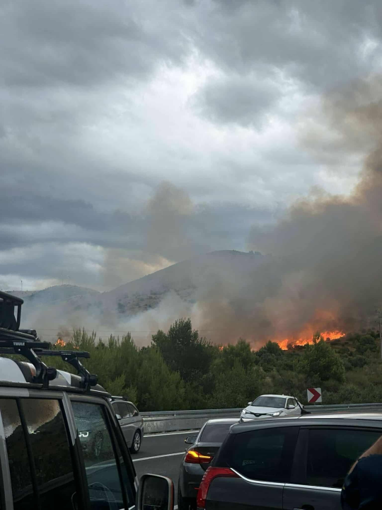 Izbio požar u Jasenovu: Više vatrogasnih postaja izašlo na teren
