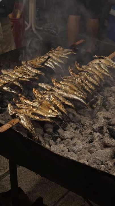 More, glazba i otoci: Ljetna avantura ekipe ŠibenikIN-a do Korčule, Lastova i Visa