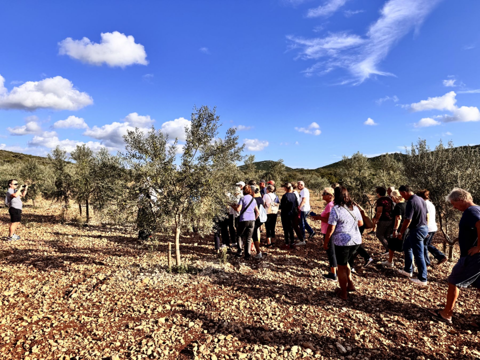 'Piknikom u masliniku' službeno završilo 'Lito u Pirovcu'