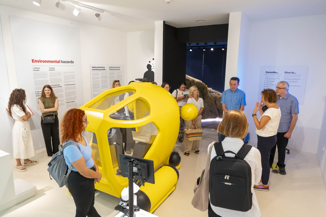 Prvi dan Međunarodne konferencije 'Challenges of Today' u kanalu sv. Ante