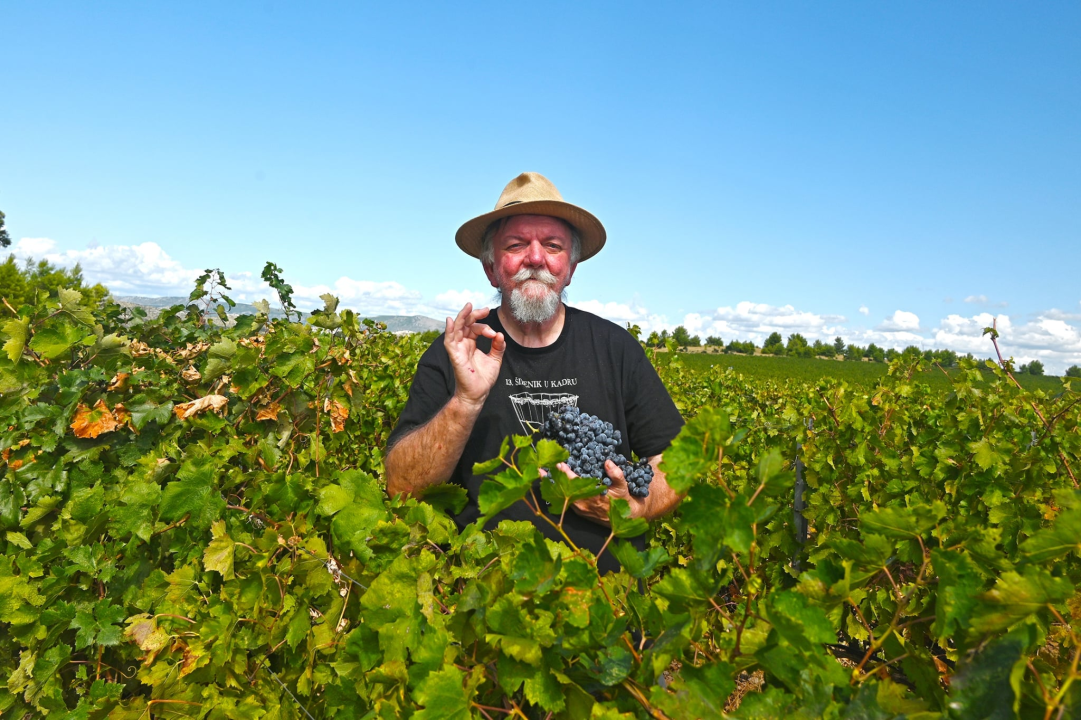 Priča o ćukteru:  Jeste li znali da su šibenski težaci od ciđe radili slatku deliciju?