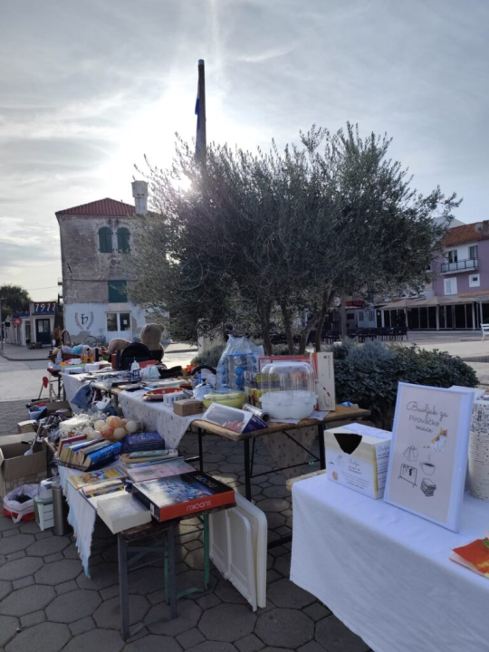 Održan humanitarni buvljak za pirovačke mačke: Sav prihod ide za njihovu kastraciju i sterilizaciju