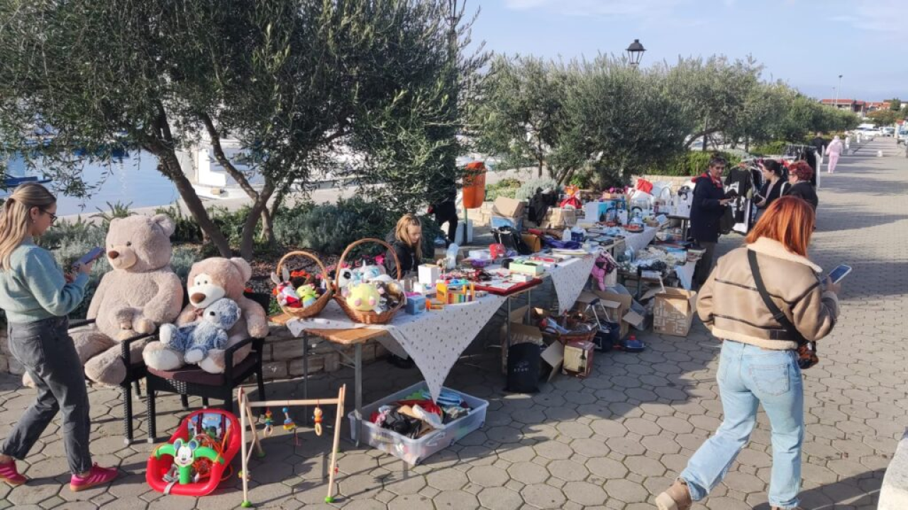 Održan humanitarni buvljak za pirovačke mačke: Sav prihod ide za njihovu kastraciju i sterilizaciju