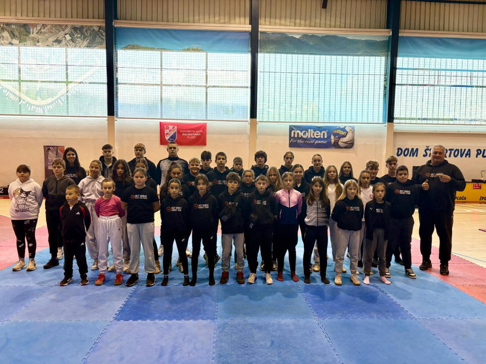 Dalmatinska karate liga