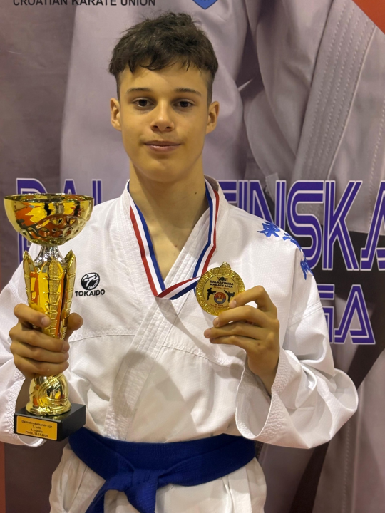 Dalmatinska karate liga