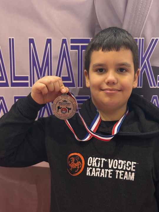 Dalmatinska karate liga