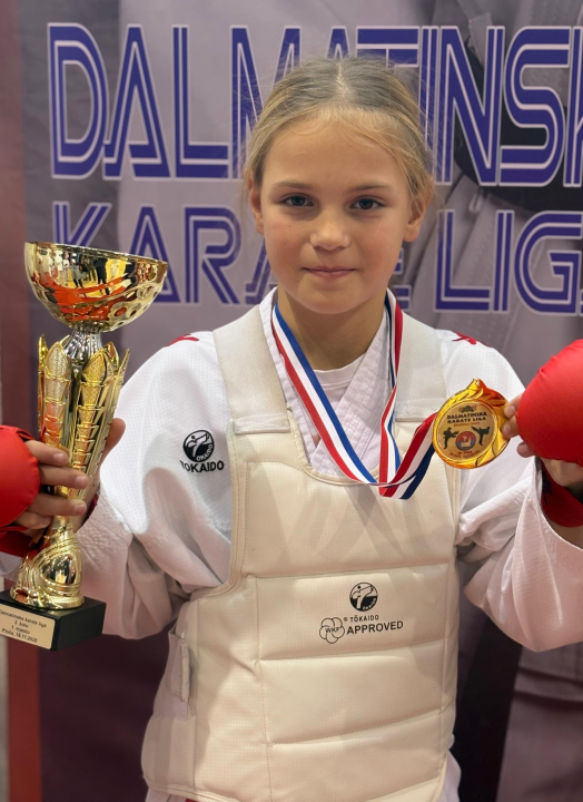 Dalmatinska karate liga