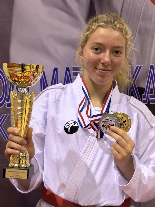 Dalmatinska karate liga