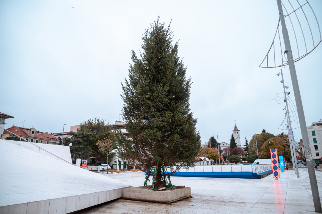 Blagdansko ukrašavanje pri kraju: Na Poljanu uz 'Vitićevo more' postavljena tradicionalna božićna jelka 