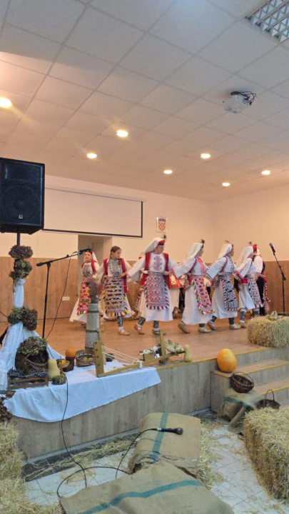 'Dinarsko silo' u Kijevu okupilo čuvare baštine, plesova i običaja 