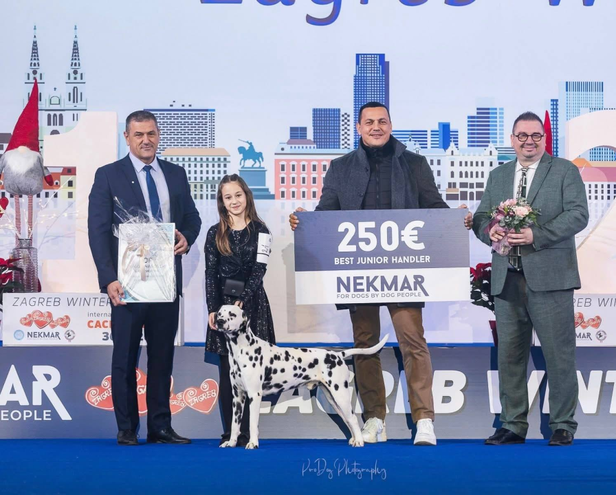 Anđela je najbolji mladi vodič pasa