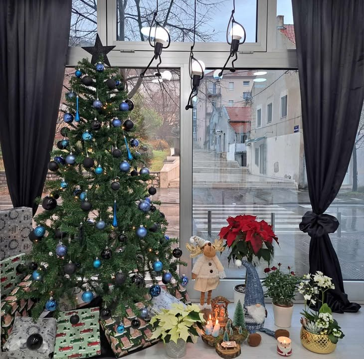 Odluka je pala: Donosimo vam pobjednike izbora najljepše božićne jelke ŠibenikIN-a