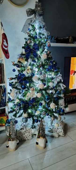 Odluka je pala: Donosimo vam pobjednike izbora najljepše božićne jelke ŠibenikIN-a