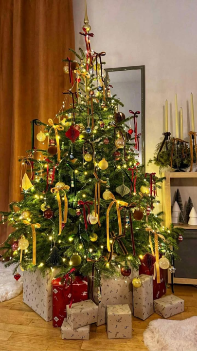 Odluka je pala: Donosimo vam pobjednike izbora najljepše božićne jelke ŠibenikIN-a