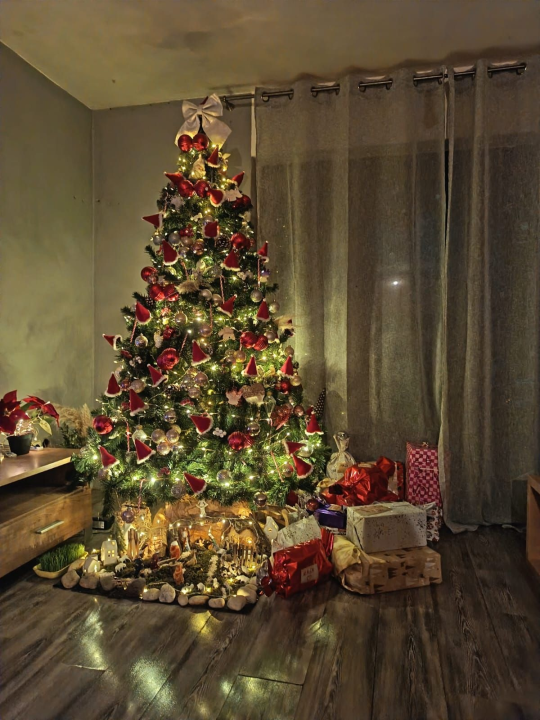 Odluka je pala: Donosimo vam pobjednike izbora najljepše božićne jelke ŠibenikIN-a