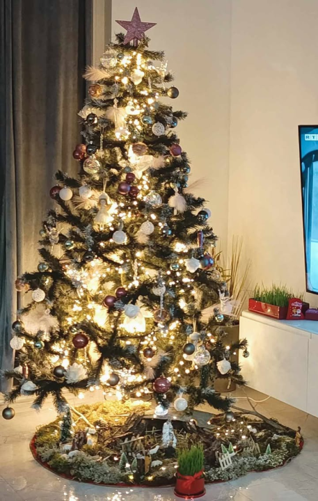 Odluka je pala: Donosimo vam pobjednike izbora najljepše božićne jelke ŠibenikIN-a