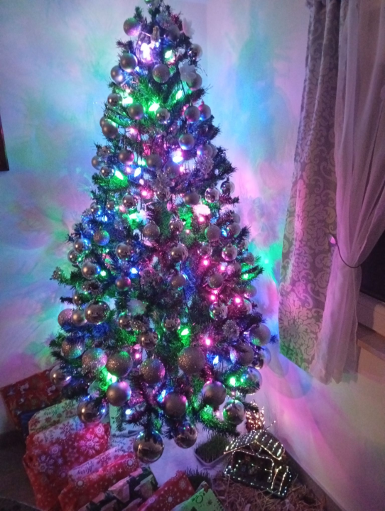 Odluka je pala: Donosimo vam pobjednike izbora najljepše božićne jelke ŠibenikIN-a