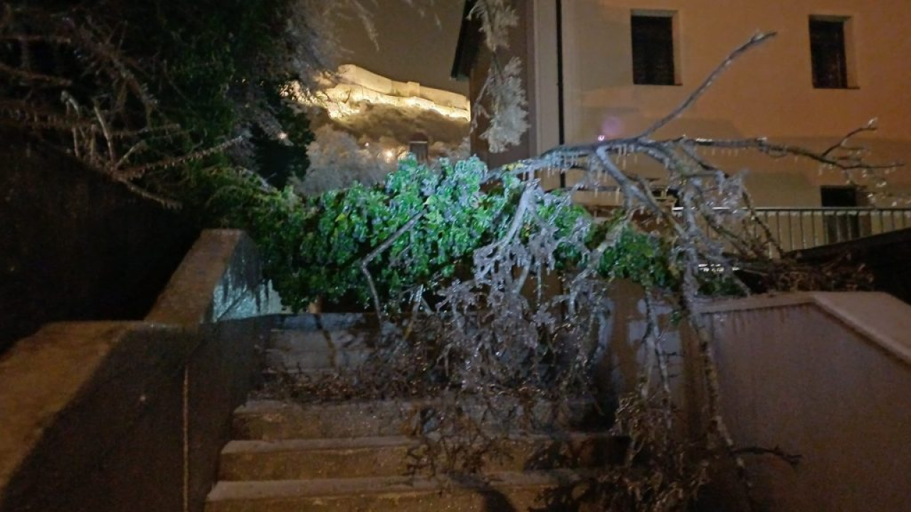 Scene iz zaleđenog Knina: Stablo u Ujevićevoj ulici iščupano iz korijena, električni vodovi prekinuti