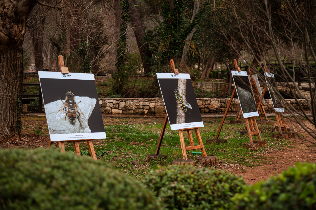 FOTO Priče koje zuje dalje: Završeno je šesto izdanje Green Eye Festivala