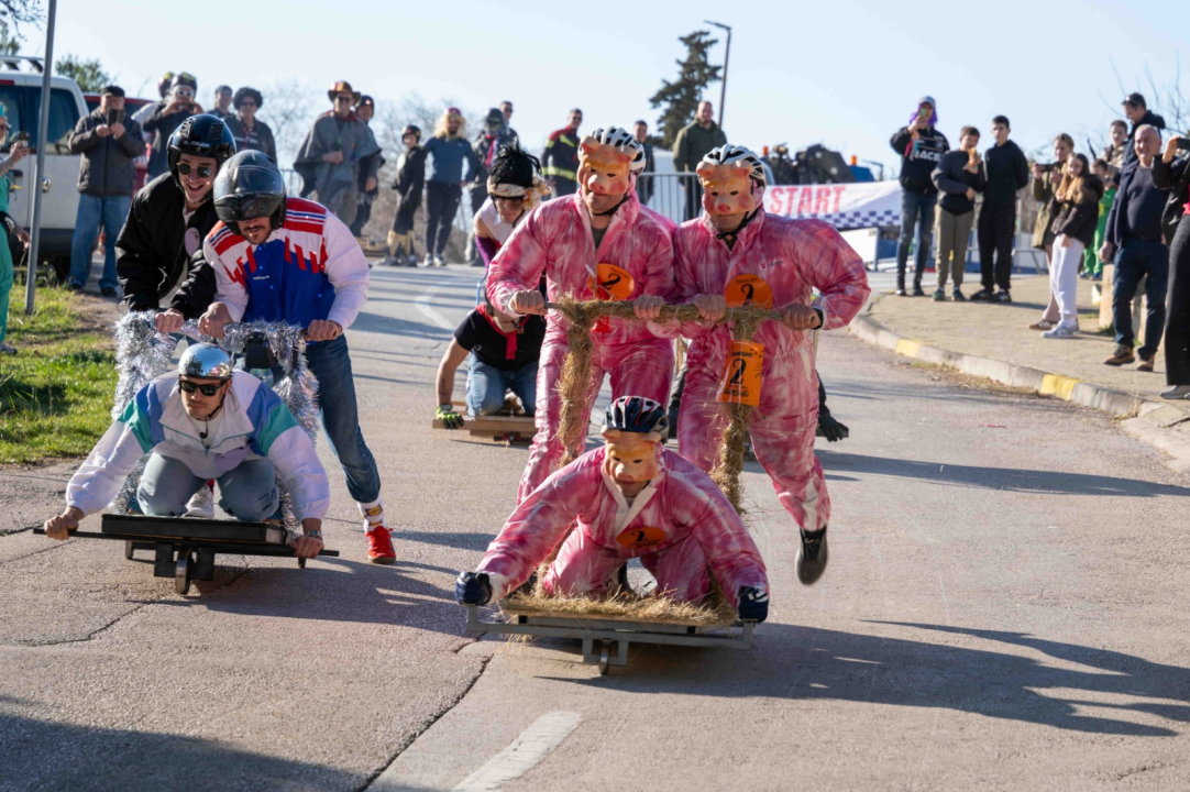 Vodička pokladna tradicija: 3 velika praščića pobjednici trke karića na balinjere