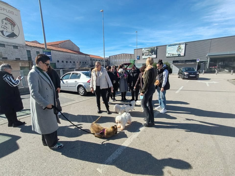 U Šibeniku prikupljene donacije za napuštene njuškice