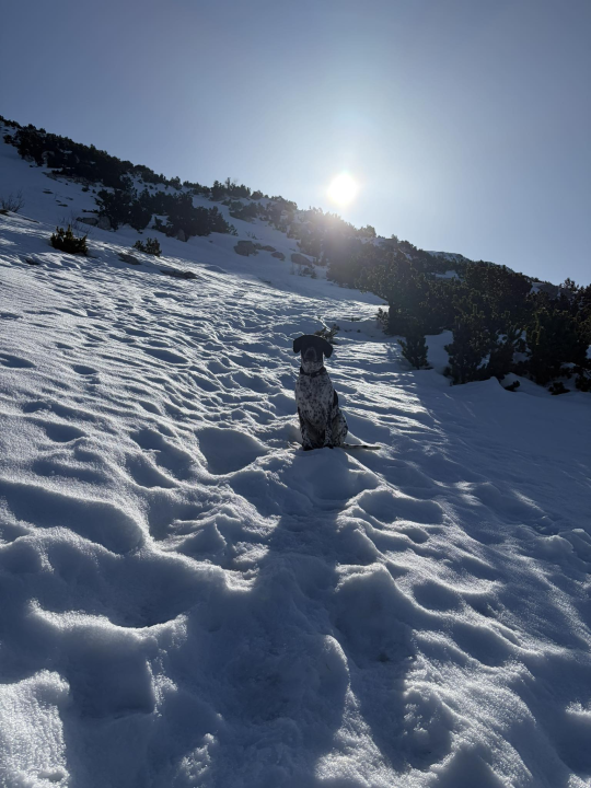 Pozdrav s najvišeg vrha Hrvatske na Dinari: 'Snijeg, sunce i pogled koji se pamti cijeli život'