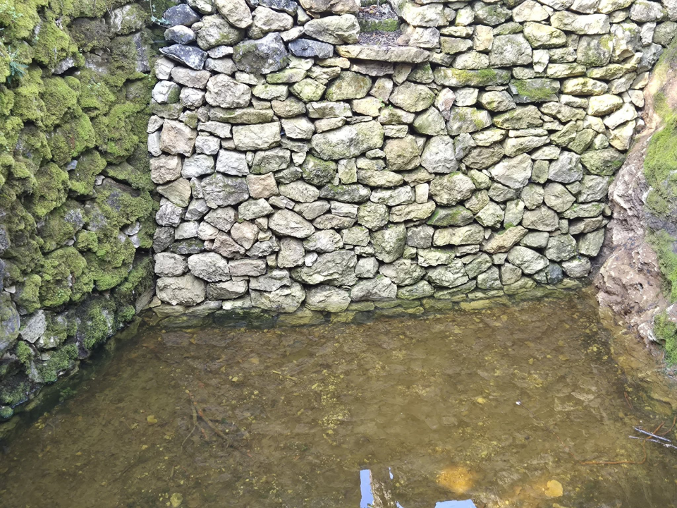 Kamen po kamen, biljku po biljku, Udruga Tatavaka i brojni volonteri udahnuli novi život Gnjilovači