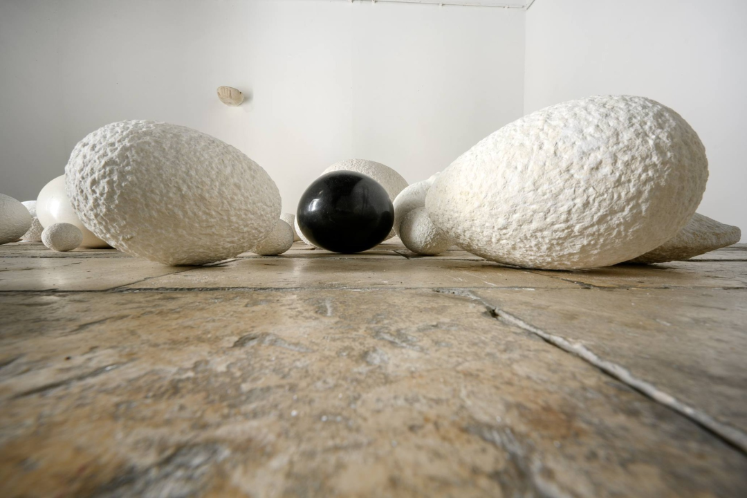 'Nevjerni Toma': U Krševanu u petak otvorenje izlobe Tomislava Šalova