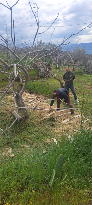 Udruga Argonauta na Siciliji sudjelovala na radionici projekta Cutting Carbon