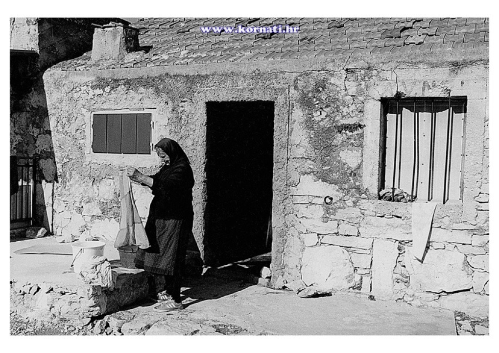 Kornatska priča o stoljetnom opstanku: Ovce, masline i suhozidi