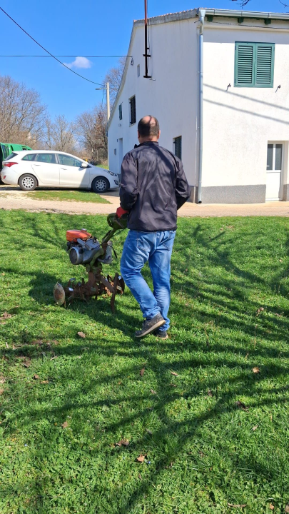 Mario u Unešiću ima plantažu lavande