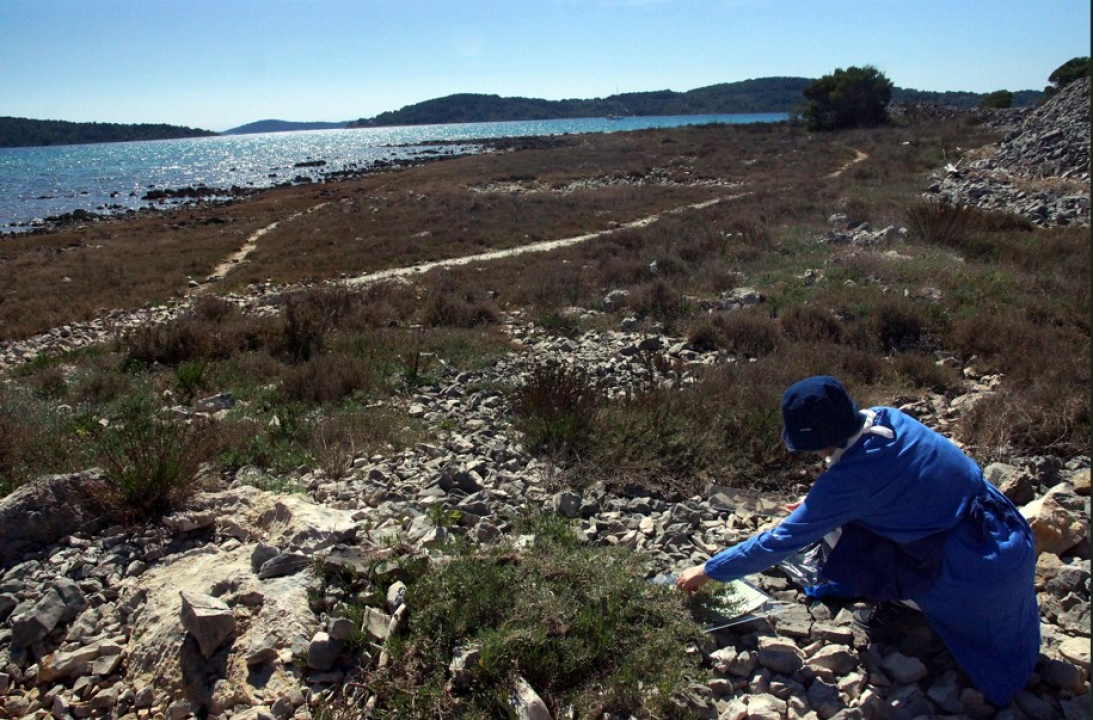 Domaćinova bunja ugostila izložbu II. nomadskog cijanotipskog laboratorija