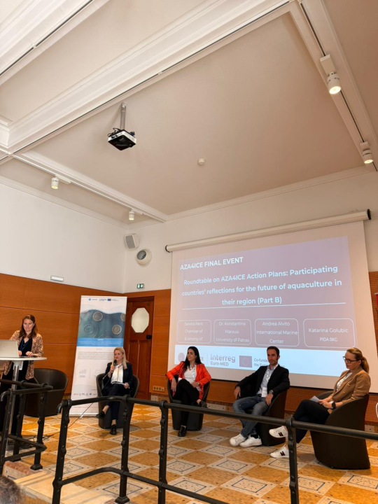 Održan završni događaj projekta AZA4ICE i 8. sastanak projektnog i upravljačkog odbora u Francuskoj