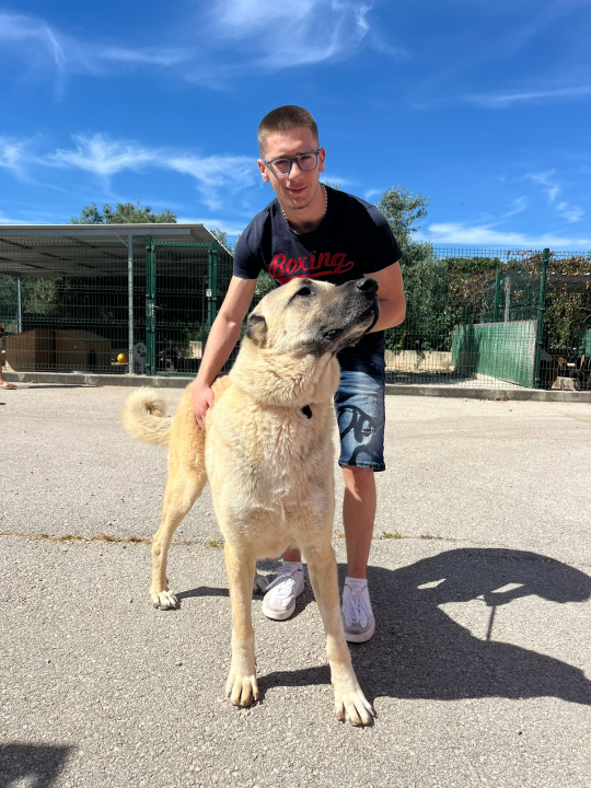 FOTO Šibenski sportaši promovirali udomljavanje u azilu As-Eko: 'Promijenite nečiji život, dobijete bezuvjetnu ljubav'