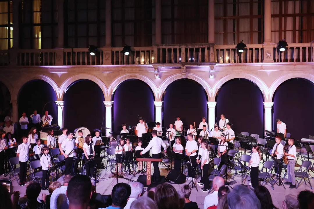 Koncert ŠNG